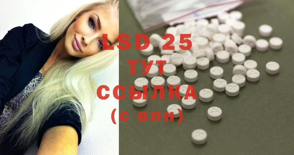 стафф Ростов