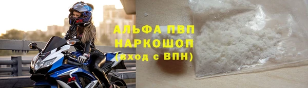 стафф Ростов